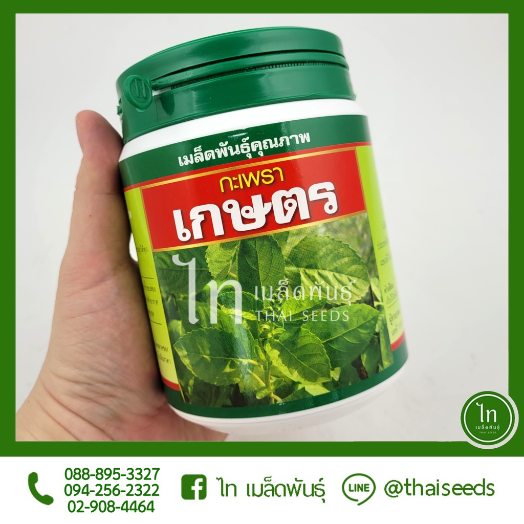 กะเพรา (ใบใหญ่) เกษตร  เมล็ดพันธุ์ กะเพรา ตรา เสือดาว บรรจุ 250/50 กรัม – โปรปัง