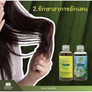 ไพร สูตร 1 ( มะมา สมุนไพร) แบบมีผงและไม่มีผงสมุนไพร