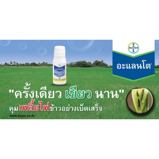 อะแลนโต ( Alanto ) ไทอะโคลพริด 24% สารป้องกันและกำจัดแมลง เพลี้ยไฟในข้าว ( 100 ซีซี )