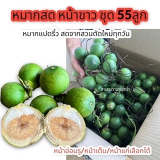 หมาก ชุด 55 ลูก ตัดใหม่จากสวนทุกวัน หมากสด หน้าขาว หรือหน้าแดง หมากแปดริ้ว