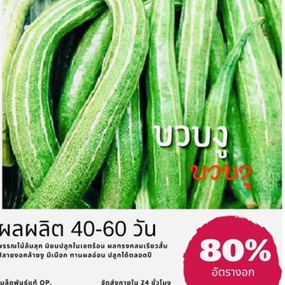 เมล็ดพันธุ์ บวบงู 15 เมล็ด บวบ (ซื้อ 10 แถม 1 คละอย่างได้)