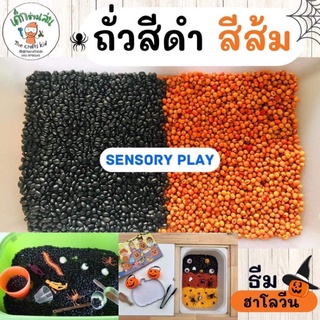 ถั่วสีดำ ถั่วสีส้ม สำหรับกิจกรรม sensory bin ธีมฮาโลวีน Halloween sensory play ของเล่นวันฮาโลวีน trick or treat