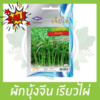 ลดพิเศษ 10 บาทเท่านั้น‼ ผักบุ้งจีน