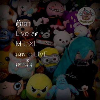 เฉพาะ Live‼ เท่านั้น ❤️ตุ๊กตา