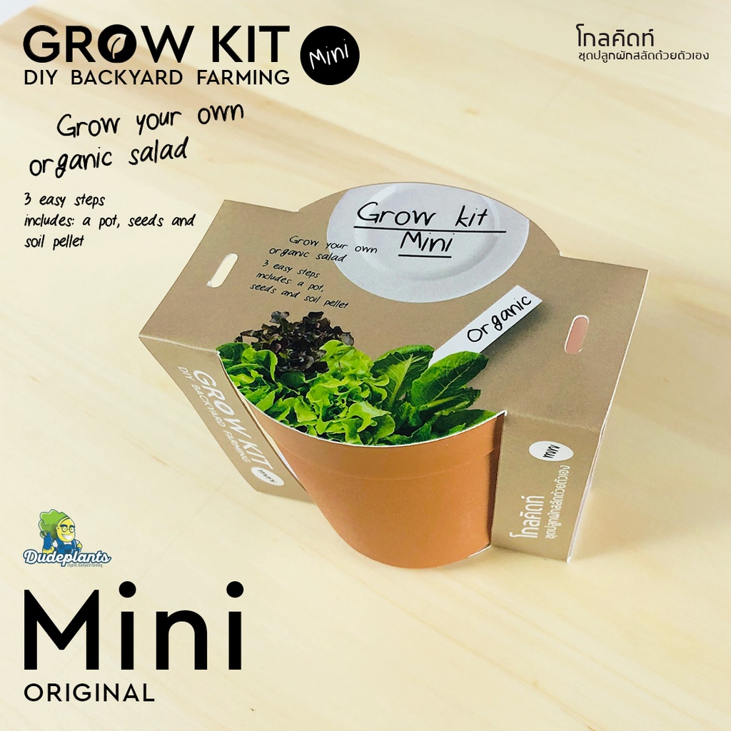 ชุดปลูกผักสลัด Grow kit:Mini