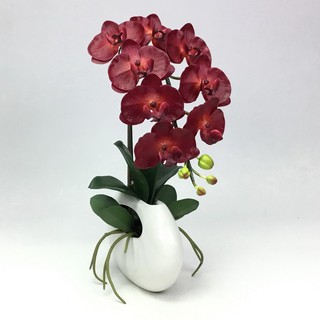 OrientalFineArt  ดอกกล้วยไม้ปลอม Phalaenopsis จัดในแจกันเซรามิคทรงโมเดิร์น(CR-388-W F25)