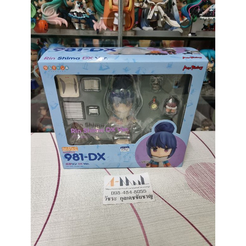 981-DX Yuru Camp Rin Shima Anime Girl Figura Max Factory Laid-Back Ação Colecionável Modelo