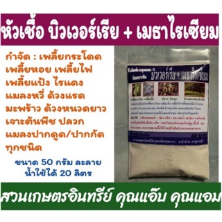 คู่พิฆาตแมลง 50กรัม บิวเวอร์เรีย+เมธาไรเซียม พร้อมใช้ ละลายน้ำใช้ได้ 20 ลิตร เพียงละลายทิ้งไว้ 1 ชม. กำจัดแมลงทุกชนิด