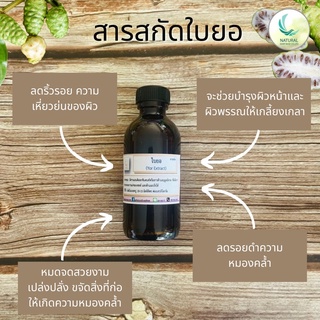 สารสกัด ใบยอ ( Yor EXTRACT ) สารสกัดจากธรรมชาติ 100% ขนาด 50 g.