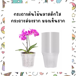 กระถางต้นไม้พลาสติกใส กระถางส่องราก มองเห็นราก