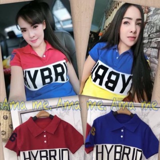 เสื้อโปโล แบรนด์ Hybrid