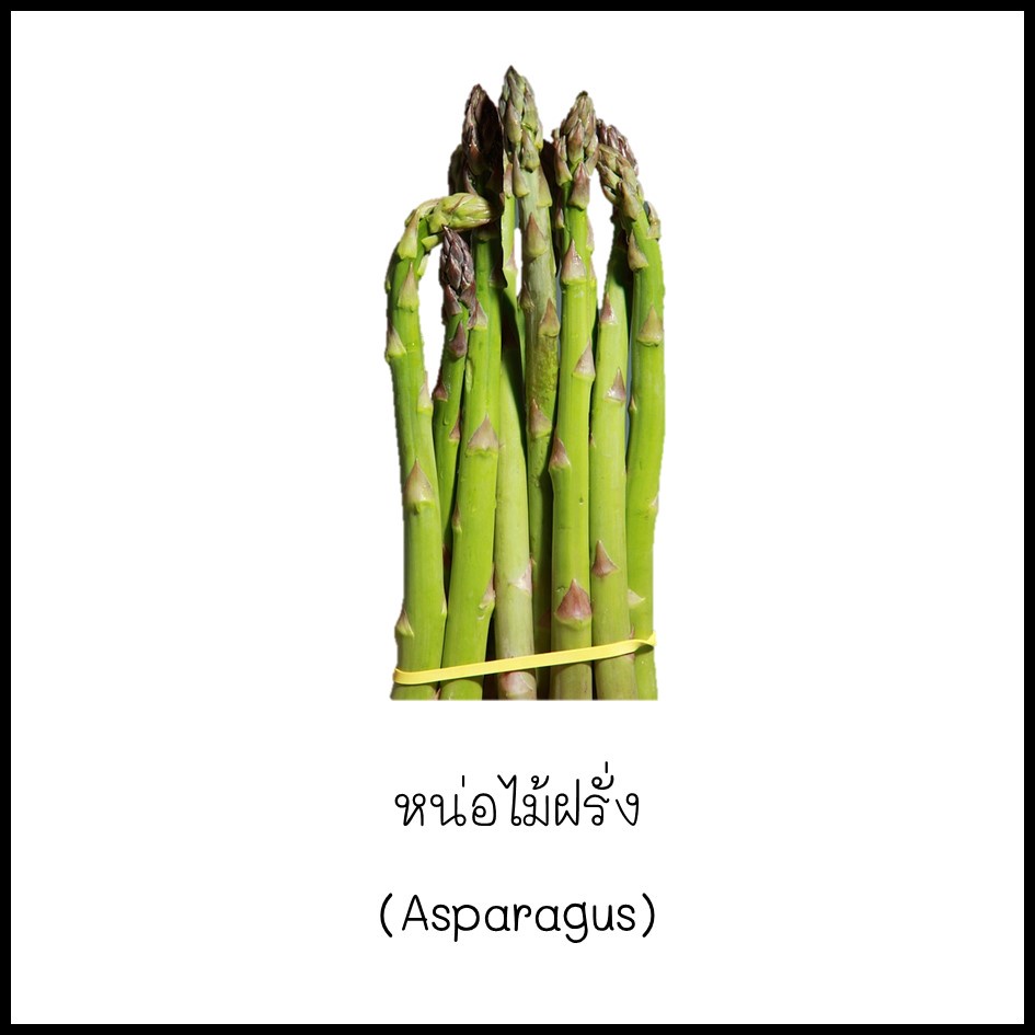 เมล็ดหน่อไม้ฝรั่ง (Asparagus) 10 เมล็ด [10 แถม 1 คละได้]
