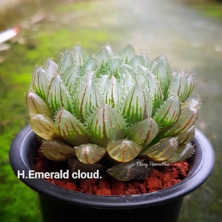 H.Emerad cloud.  A009 (อีเมอเรด)