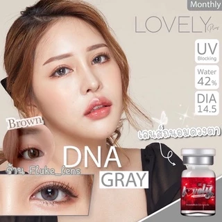 คอนแทคเลนส์เกาหลี 🇰🇷 🕊 Dna brown gray 🕊 (ขนาดโตกลาง) ใส่กลางวันได้ สีไม่ดุ lovelyplus
