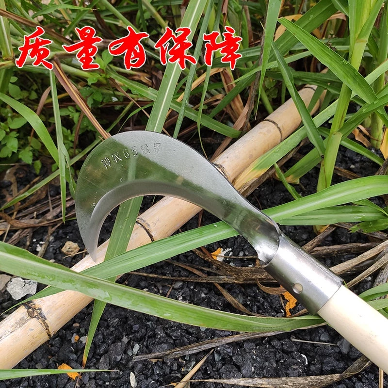 เครื่องตัดหญ้าด้ามยาว มีดเคียวเกษตรตัดหญ้าและต้นหอม thumbnail 7