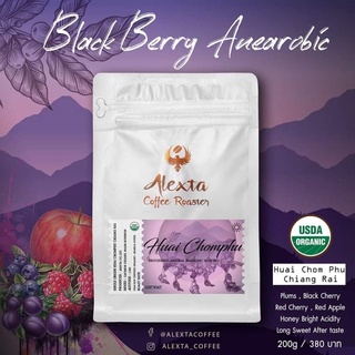 เมล็ดกาแฟคั่วอ่อน Black Berry Anaerobic (Slow Dry) ขนาด 200 กรัม