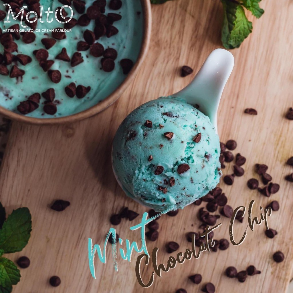 Molto ไอศกรีม รสมิ้น ช็อกโกแลตชิพ 16 ออนซ์ - Molto Premium Gelato-Ice cream Mint Chocolate Chip 16 o