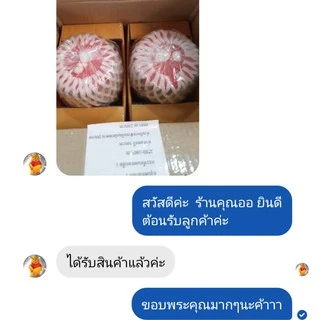 ผลไม้ดอง บรรจุขวดโหล 500 กรัม แถมพริกเกลือรสแซบ 3แบบ