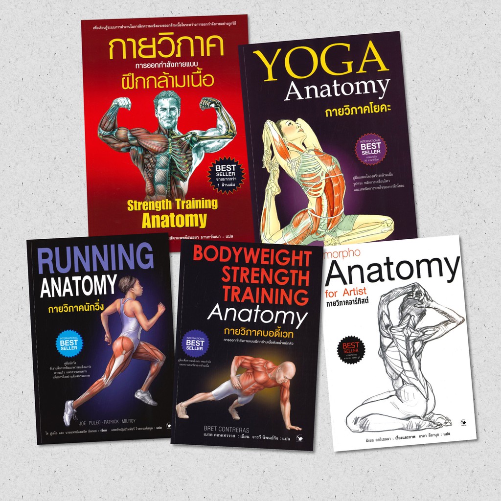 กายวิภาคโยคะ YOGA Anatomy / กายวิภาคนักวิ่ง RUNNING ANATOMY  / กายวิภาคอาร์ทิสต์ Morpho Anatomy for 
