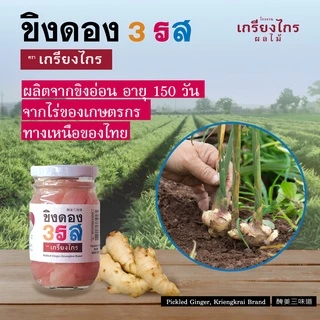 ขิงดองสามรส ขวดซุปเปอร์จิ๋ว ขนาดทดลอง สุดยอดเครื่องเคียง ตัดเลี่ยนแก้แน่นท้อง สะอาด ปลอดภัย ยะด้วยใจ๋ เกรียงไกรผลไม้