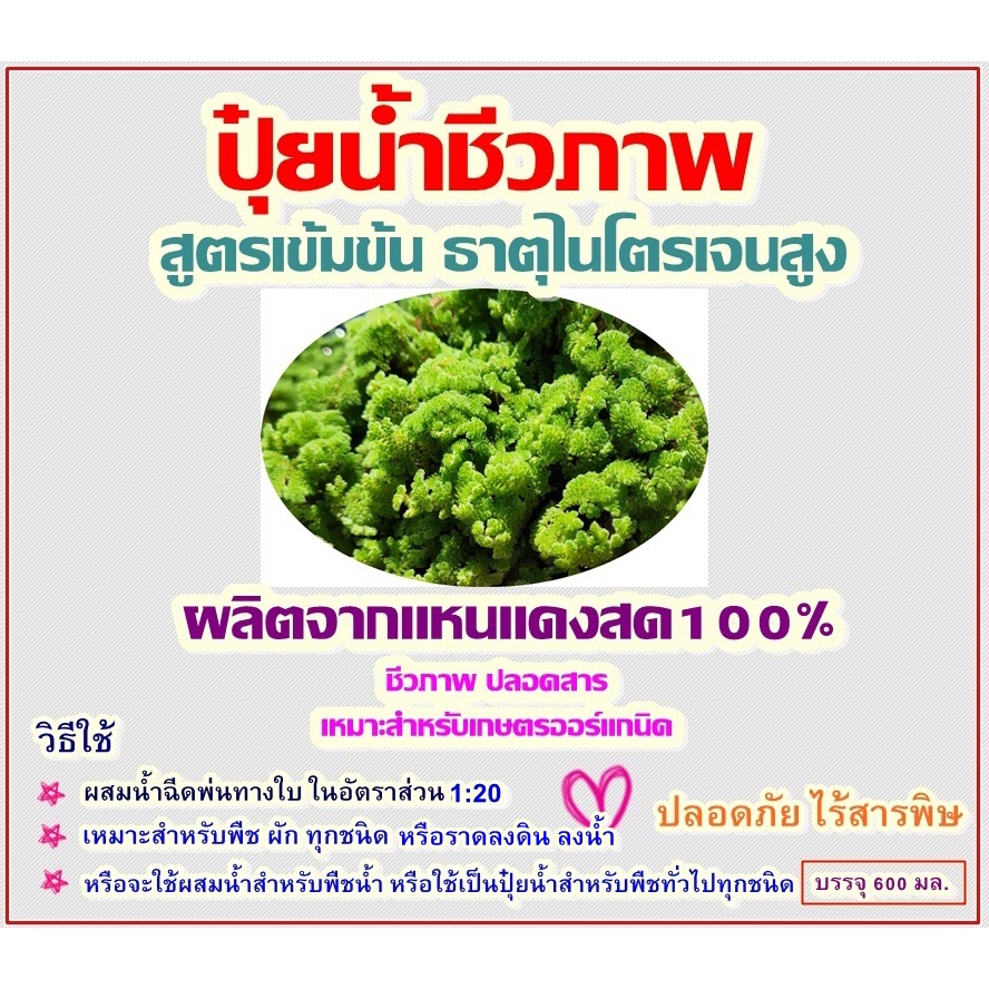 ปุ๋ยน้ำชีวภาพ ธาตุไนโตรเจนสูง ผลิตจากแหนแดงสด100%