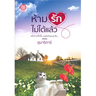 นิยาย ห้ามรักไม่ได้แล้ว