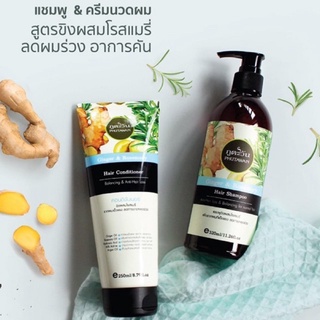 Ginger &amp; Rosemary แชมพู และครีมนวด เน้นรักษาหนังศีรษะ ลดการแพ้ คัน รังแค และผมร่วงได้อย่างดี ปราศจากเคมี สารเพิ่มฟอง