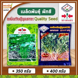 เมล็ดพันธุ์ ผักชีพันธุ์สามเอ ผักชีพันธุ์สายสมร ผักชีกอใหญ่ (Quality Seed) เมล็ดพันธุ์ผักชีถุงใหญ่ ตราสามเอ ตราศรแดง