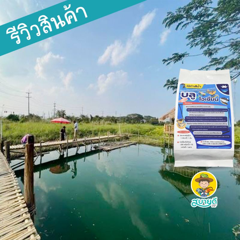 สีน้ำเทียม บลูโอเชี่ยน  สีน้ำวิทยาศาสตร์ สีน้ำเงิน 250 กรัม สำหรับบ่อเลี้ยงสัตว์น้ำ ทำสีบ่อคาเฟ่ห์ สบายดีซัพพลายแอนด์โค