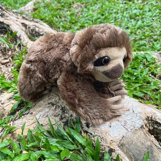 ตุ๊กตาสล็อต สล็อต สีน้ำตาล ตุ๊กตา Sloth stuffed animal ตุ๊กตาสัตว์เหมือนจริง Three Toed Sloth Plush Brown Sloth Plush