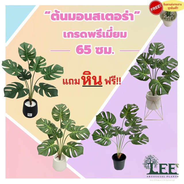 (เกรดพรีเมี่ยม) ต้นมอนสเตอร่าปลอม สูง 65 ซม. พร้อมกระถาง+แถมหินตกแต่งฟรี !!! #ต้นไม้ปลอมตกแต่งบ้าน Leeartplants
