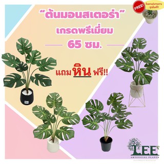 (เกรดพรีเมี่ยม) ต้นมอนสเตอร่าปลอม สูง 65 ซม. พร้อมกระถาง+แถมหินตกแต่งฟรี !!! #ต้นไม้ปลอมตกแต่งบ้าน Leeartplants