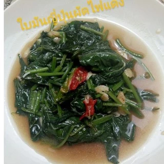 ใบมันหวานญี่ปุ่น​ ผักอินทรีย์ ปลอดสารพิษ(ผัดไฟแดงอร่อยมาก) Sweet Potato Leaves