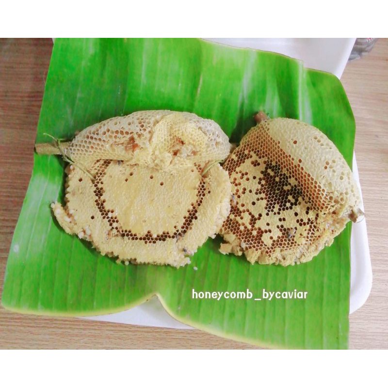 รังผึ้งจัดเซ็ทคุ้มๆ 🐝รังผึ้งป่า น้ำผึ้งป่าแท้💯% #Bycaviar - รูปที่ 4
