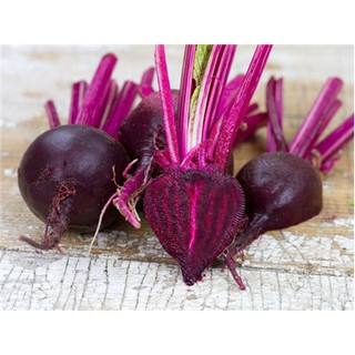 100+ เมล็ด บีทเลือดกระทิง - Bulls Blood Beet