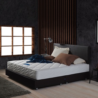 SB Design Square ที่นอน LOTUS รุ่น Euphobia ขนาด 5 ฟุต  แถมฟรีหมอนหนุน 2 ใบ (153x198x22.86 ซม.)