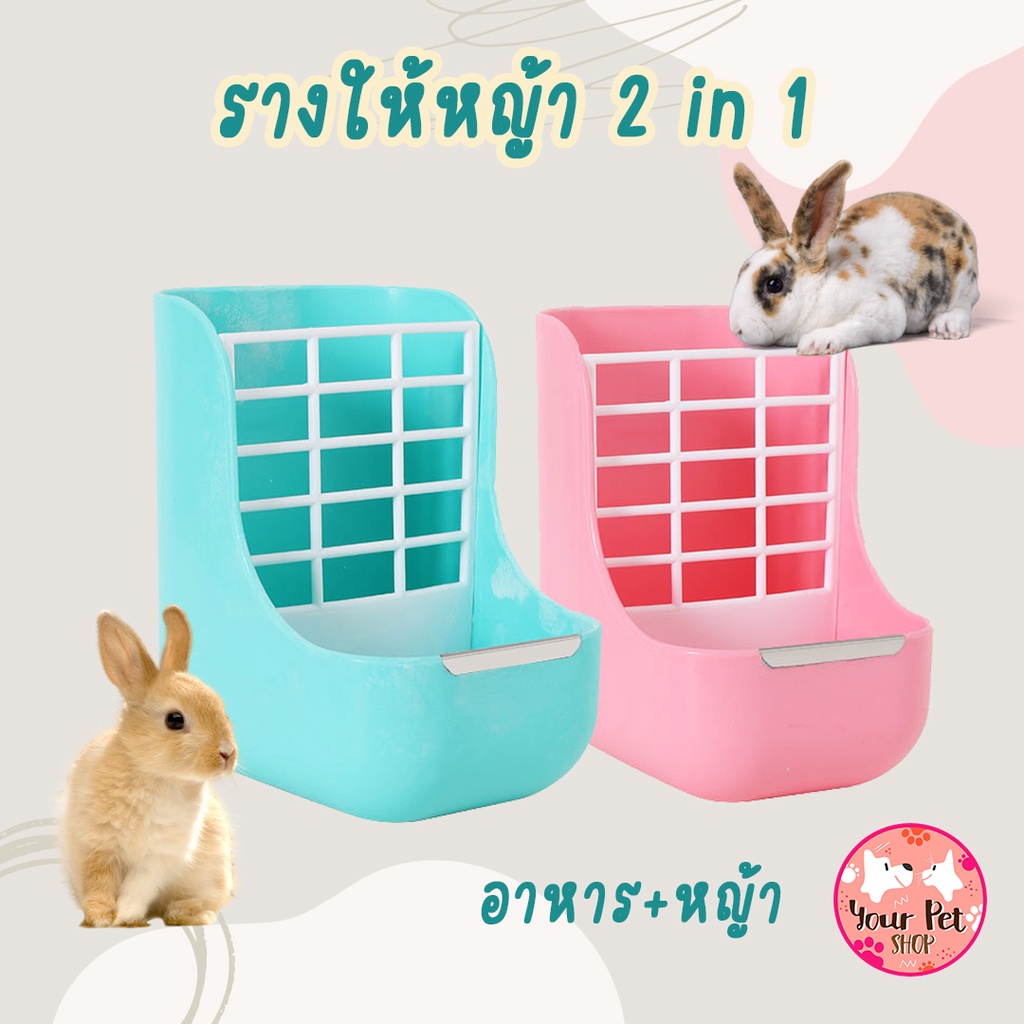 Restock รางให้หญ้า 2 in 1 รางให้หญ้ากระต่าย รางให้อาหาร ชินชิลล่า หนูตะเภา กระต่าย Small Pet Rabbit ชินชิล่า