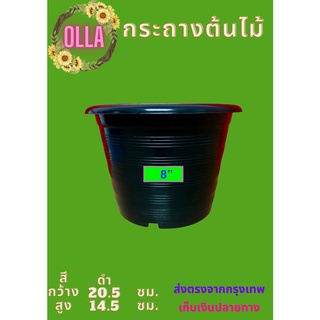 กระถางต้นไม้พลาสติก 8 นิ้ว จำนวน 100 ใบ  (แบบหนา)