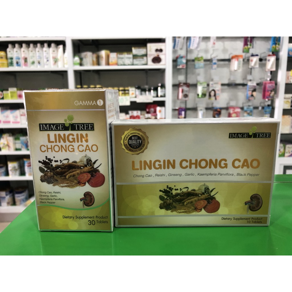Image tree หลินจิง ถั่งเช่า บำรุงร่างกาย บำรุงไต เสริมภูมิต้านทาน