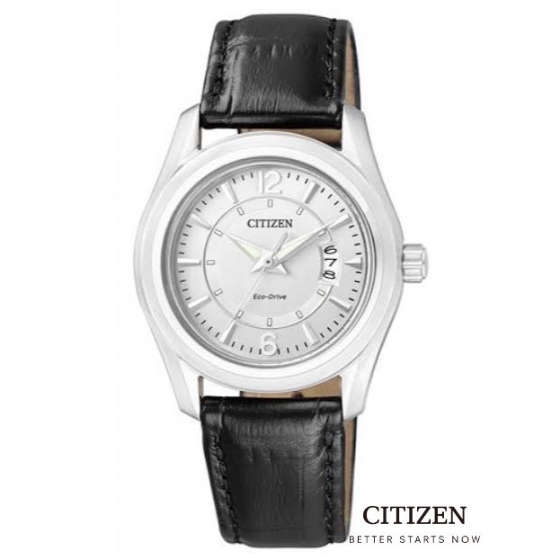 CITIZEN Eco-Drive FE1011-03B Lady Watch