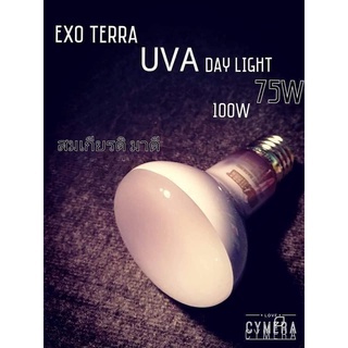 หลอด UVA เฉพาะจุด สำหรับกลางวัน 75 วัตต์ และ 100 วัตต์ - Exo Terra - Daylight Basking Spot (75W &amp; 100W)