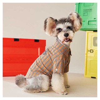 🐶🐱Burberry Classic Checked Shirt🐱🐶