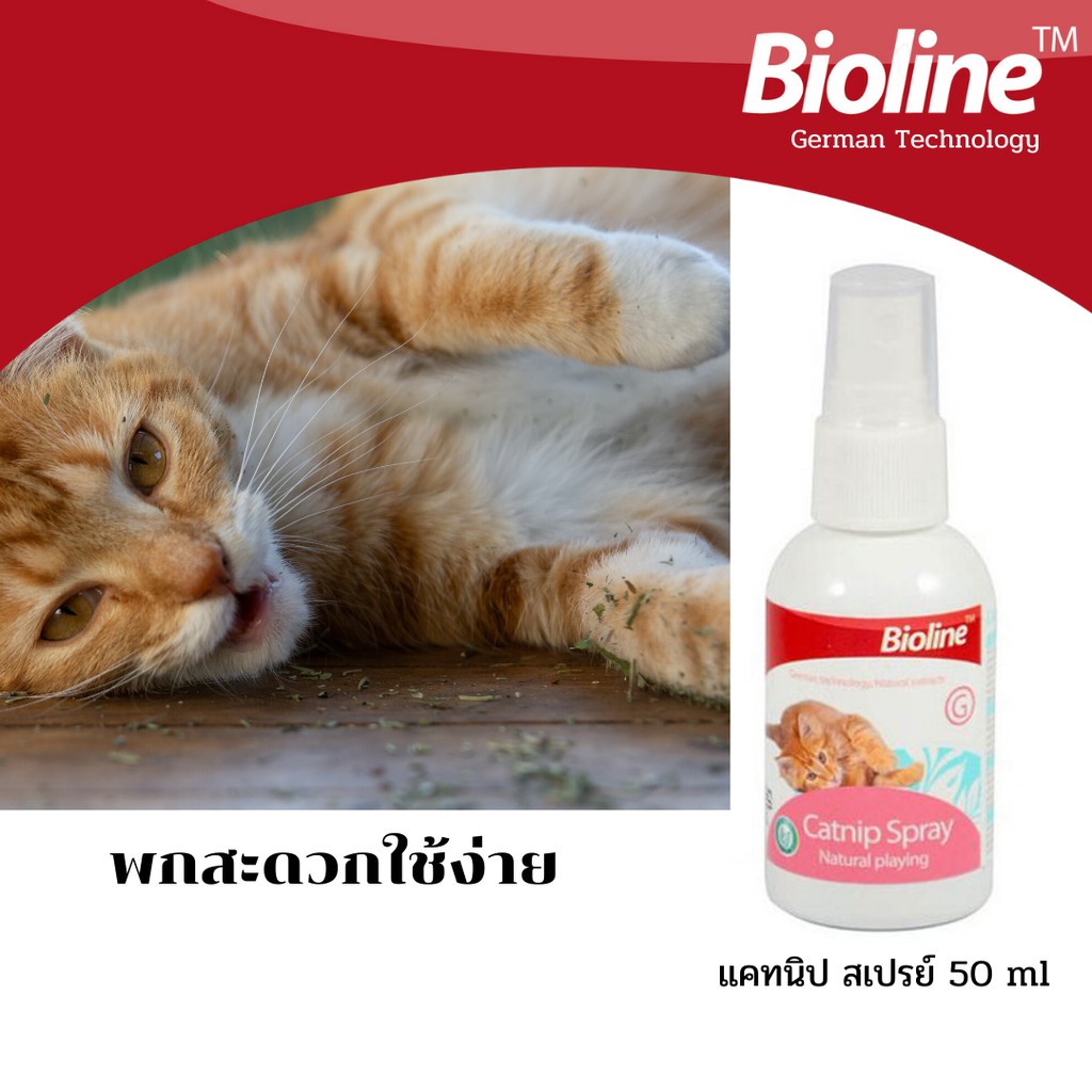 Bioline CATNIP ผงแคทนิป/สเปรย์แคทนิป/แท่งมาทาทาบิ สมุนไพรจากธรรมชาติ 100% ของเล่นแมว ช่วยให้แมวรู้สึกผ่อนคลายอารมณ์