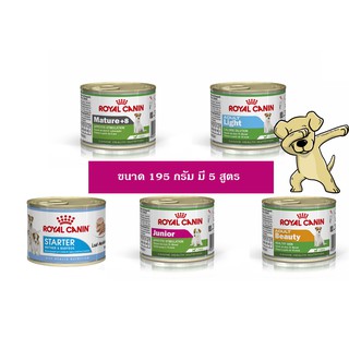 [Cheaper] Royal Canin Can Wet 195g [มี 5 สูตร] Starter Junior Beauty Light Mature+8 โรยัลคานิน อาหารเปียก 195 กรัม