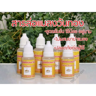 สารล่อแมลงวันทอง เมทิลยูจินอล (Methyl Eugenol) สูตรเข้มข้นและปลอดภัย ดักจับแมลงวันทอง แมลงวันผลไม้ กับดักแมลงวันทอง