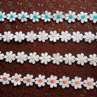 ดอกเดซี่ยาวต่อเนื่อง หลาละ17บาท🌼🌸