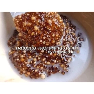 ขนาด 1 กิโล เม็ดสาคูแท้ 100% จากต้นสาคูธรรมชาติ | ออร์แกนิค |คัดเกรด | ของดีจากเมืองพัทลุง