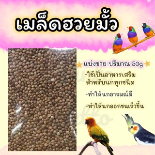 เมล็ดฮวยมั้ว  สำหรับบำรุงนกทุกสายพันธุ์ (50g)