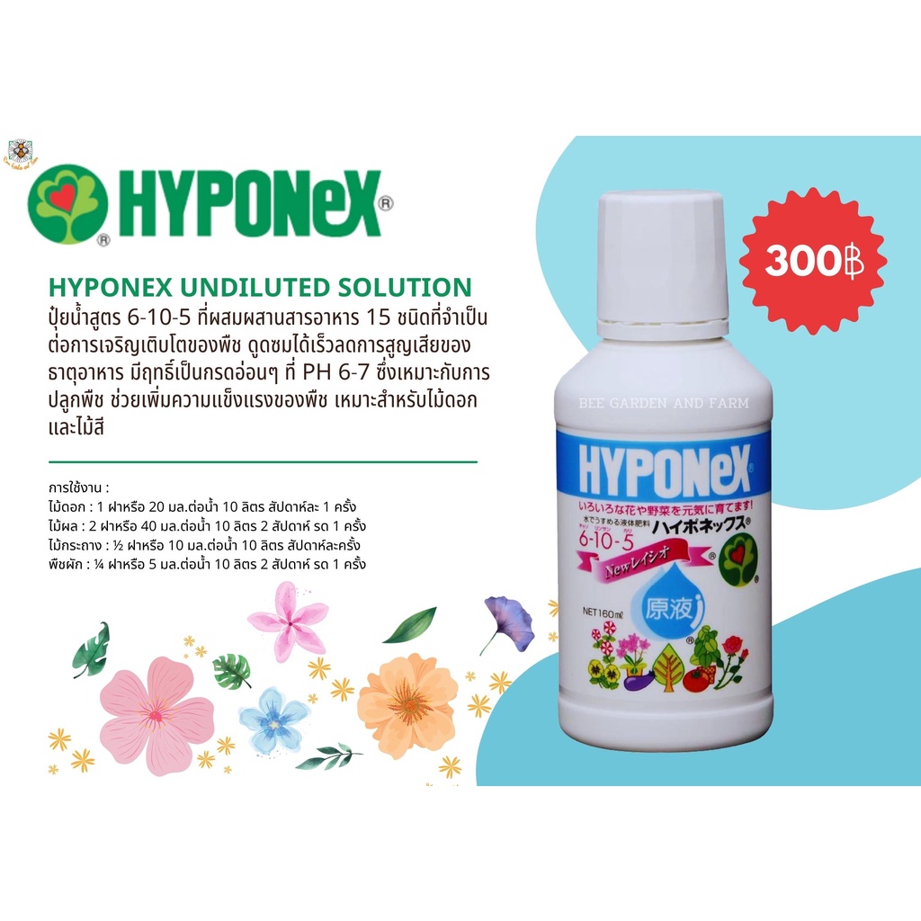 Hyponex  undiluted solution ปุ๋ยน้ำสูตร 6-10-5 ขนาด 160 ml.