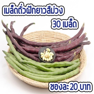 เมล็ดผัก ถั่วฝักยาวสีม่วง พันธุ์พื้นบ้าน